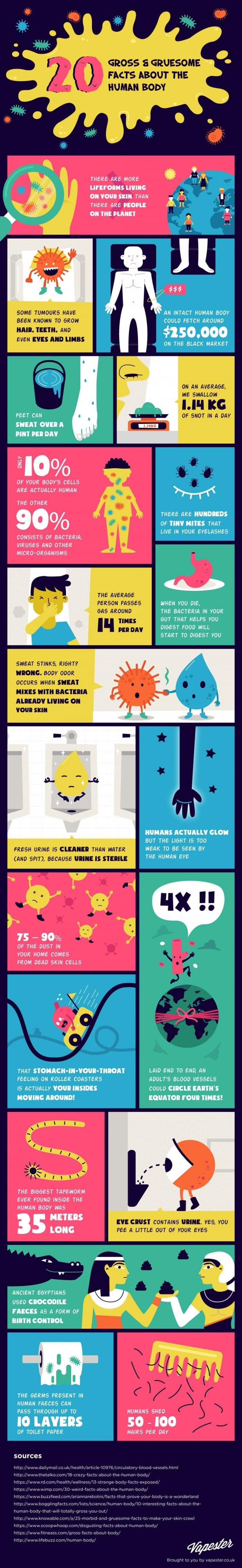 20 Gross & Gruesome Facts About The Human Body