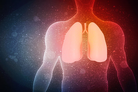 Can Vaping Harm The Lungs?