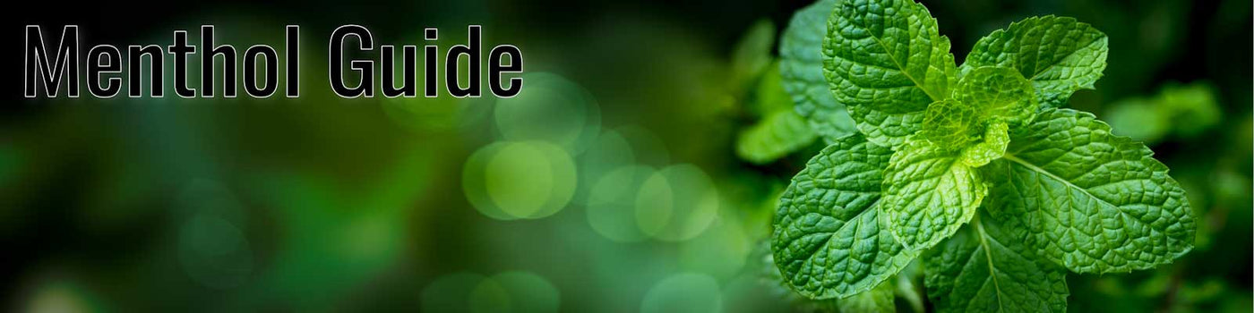 Menthol Explained