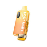 BM6000 Pod Vape Kit by Lost Mary