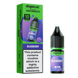Blueberry Nic Salt E-Liquid 10ml by Dojoliq