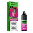 Blueberry Sour Raspberry Nic Salt E-Liquid 10ml by Dojoliq